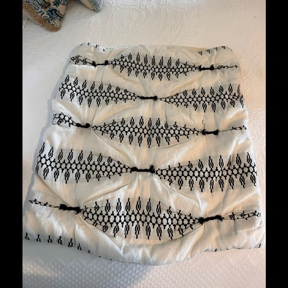 Anthropologie Embroidered Lilou Euro Shams (2) Cream and Black Design​​​​​​​​​